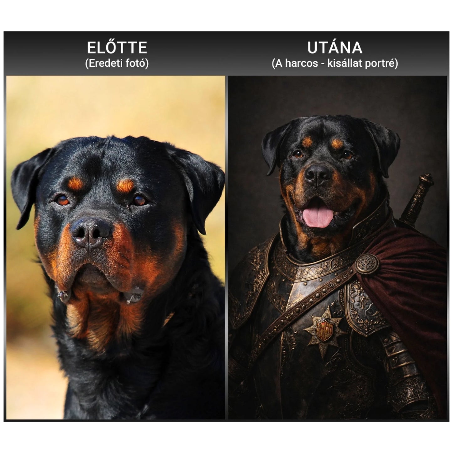 a_harcos_elotte-utana