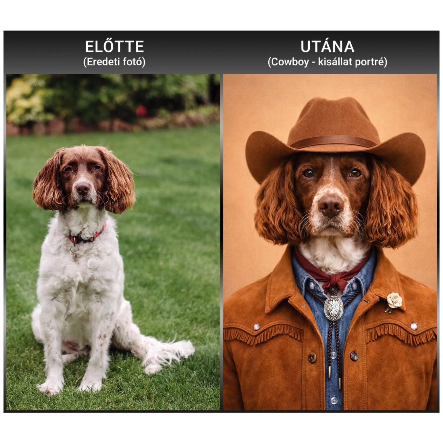 cowboy_elotte-utana