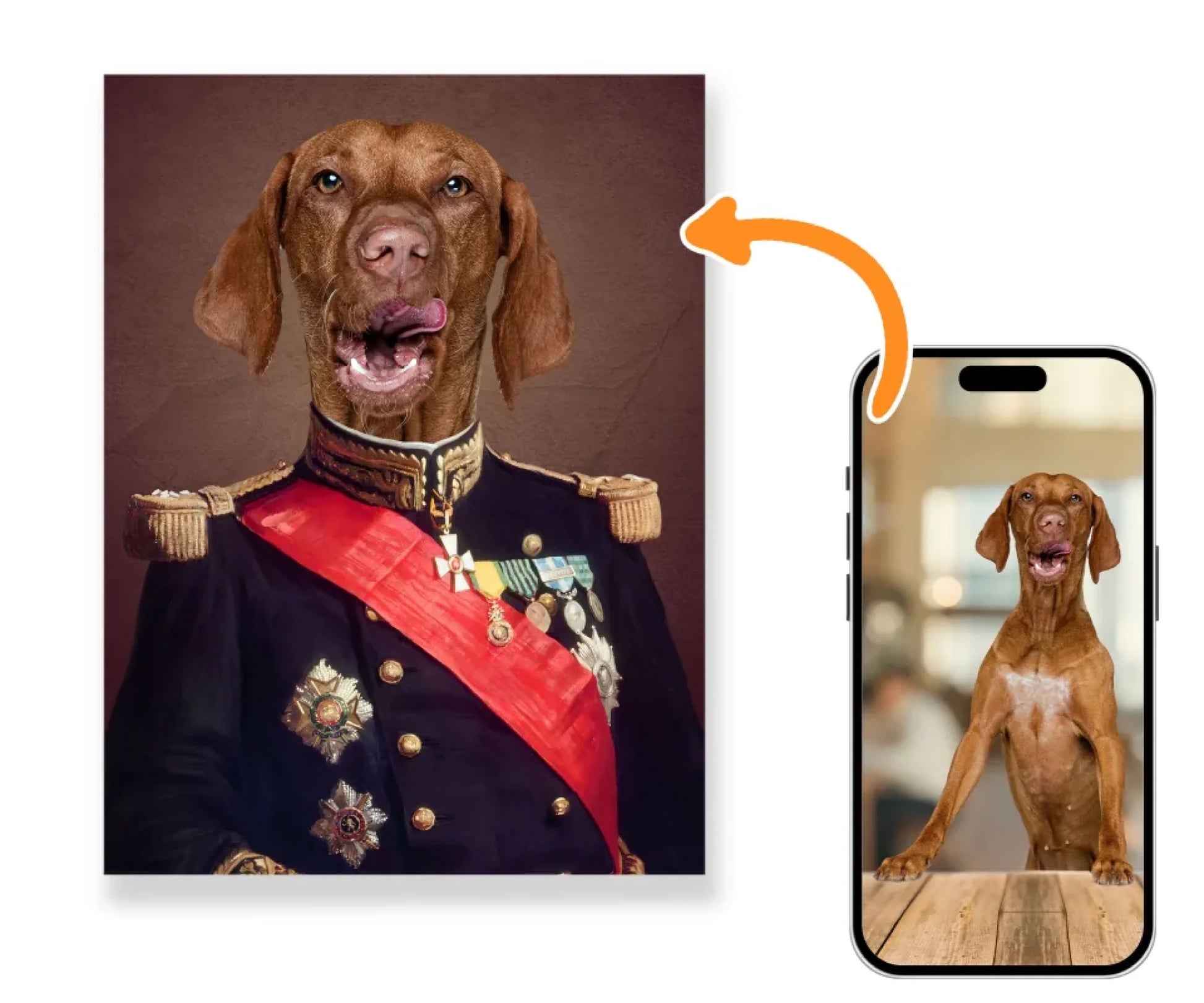 generalis_vizsla_teloval
