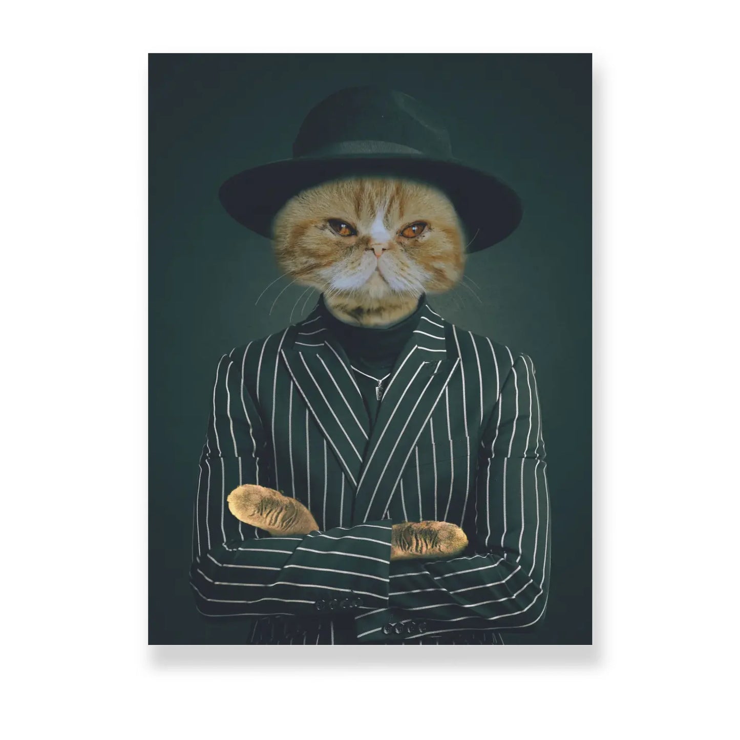Gentleman - kisállat portré