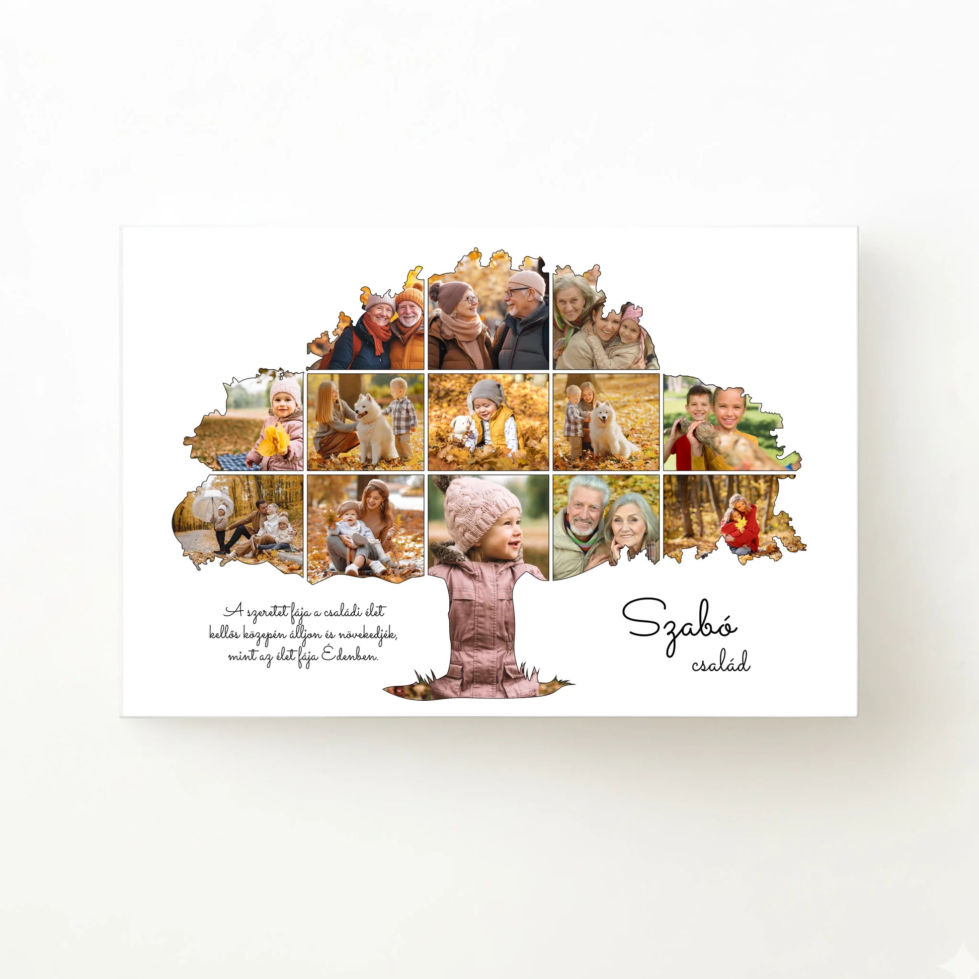 alap_horizontal_30x20