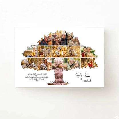 alap_horizontal_30x20