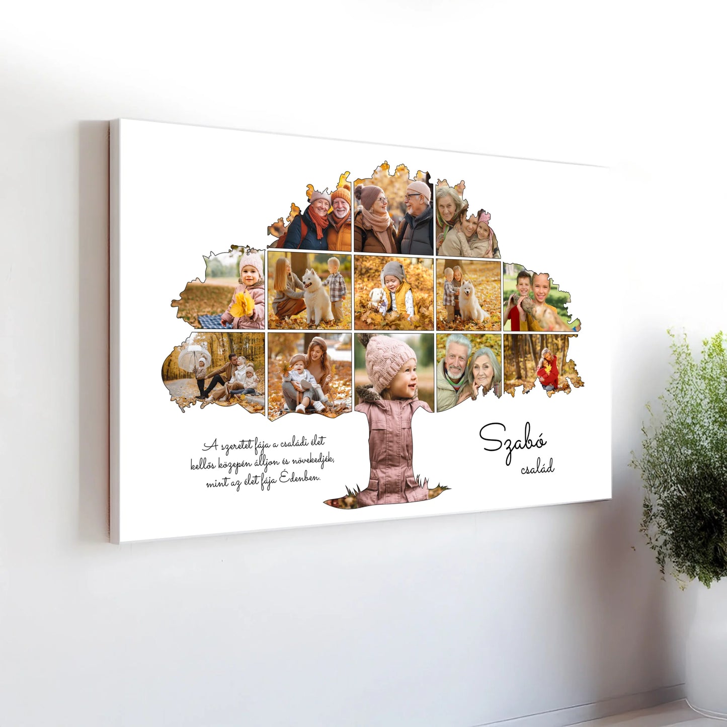 fekvo_perspektivikus_wall_30x20