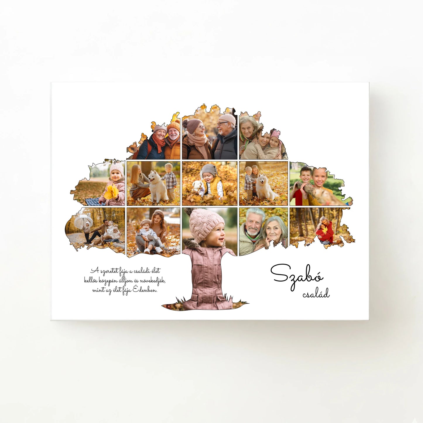 alap_horizontal_40x30