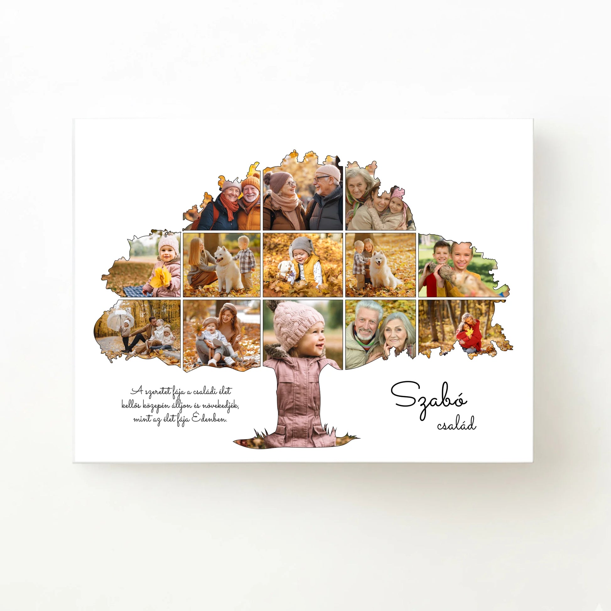 alap_horizontal_40x30