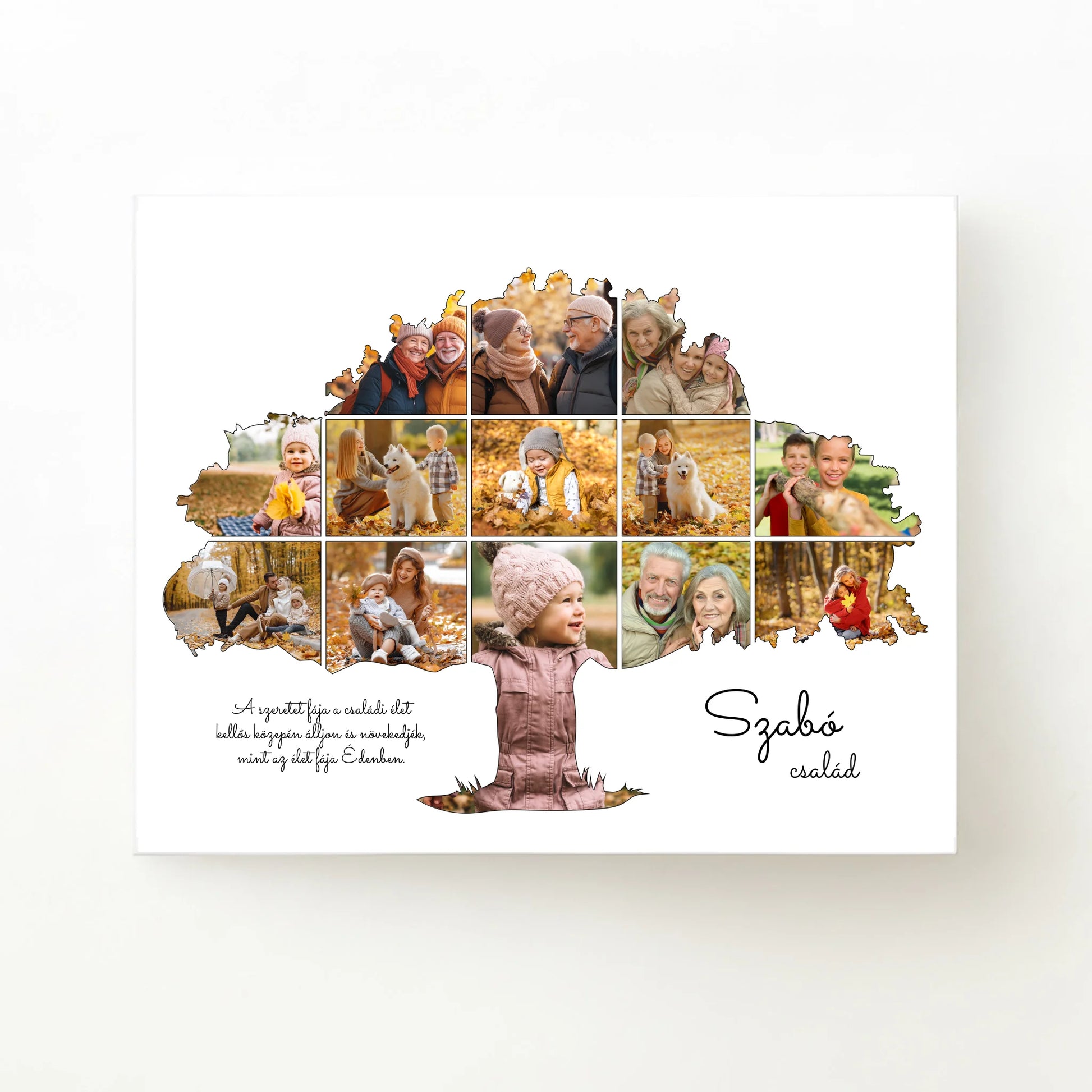 alap_horizontal_50x40