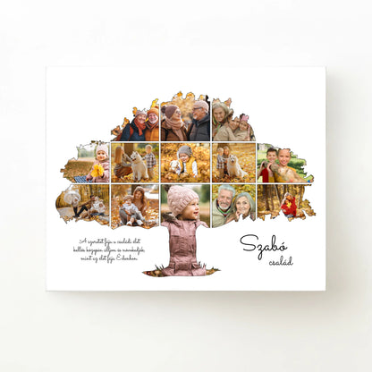 alap_horizontal_50x40