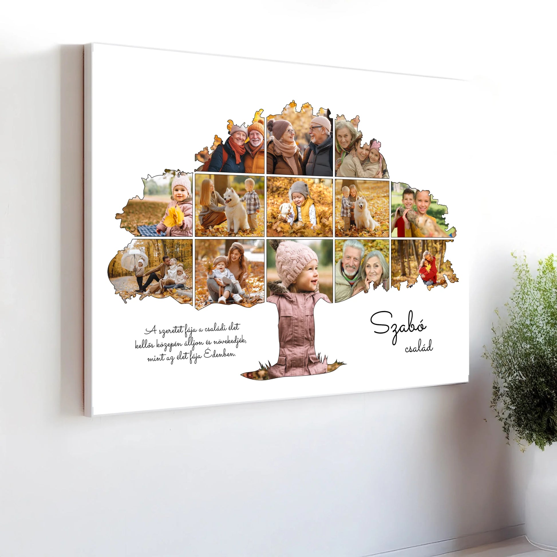 fekvo_perspektivikus_wall_50x40