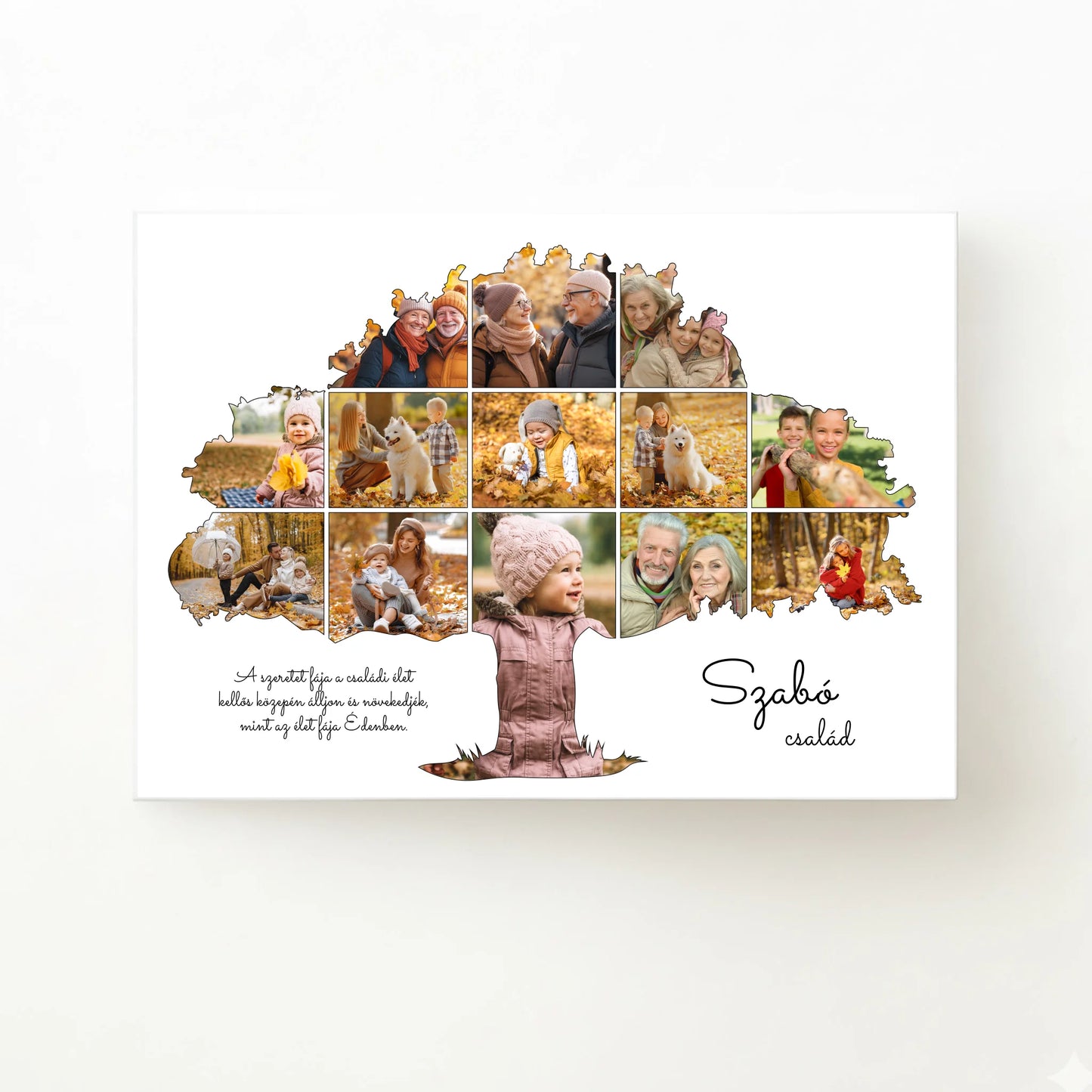 alap_horizontal_70x50