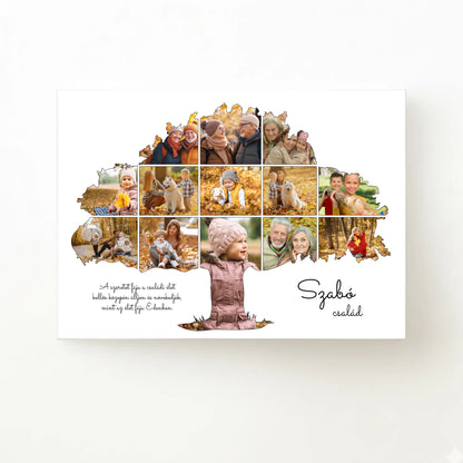 alap_horizontal_70x50